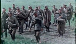 1942的夏天在线观看,烽火岁月里的生死抉择